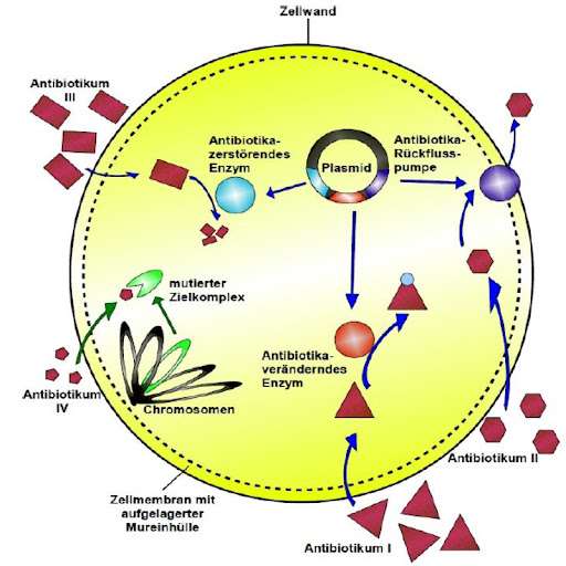 MRSA